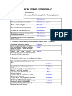 Taller de Aparato Cardiovascular - Rehabilitacion