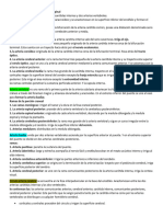 Irrigación Del Encéfalo y La Medula Espinal