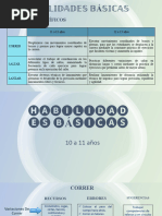 Diapositivas Habilidades Básicas - 2023