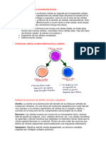 Explicar 3 Tipos de Crecimiento de Tejido