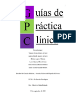 Trabajo Terminado Guia de Practica Clinica