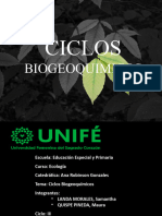 Ciclos Biogeoquimicos