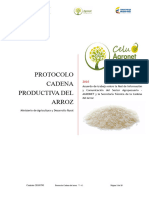 Cadena Produccion Arroz