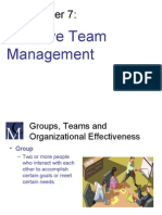 Effective Team Management