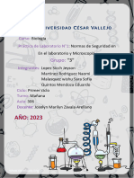 Tarea Laboratorio Grupal