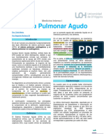 Edema Pulmonar Agudo Material de Estudio Medicina Interna I 2021 UOH