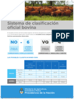 Sistema de Clasificación Oficial Bovina