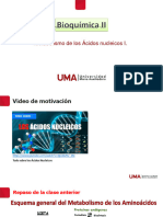 SESION11 - Metabolismo de Los Ácidos Nucleicos I