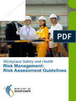 Risk Management Guidelines