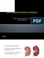 Bases Fisiopatológicas en Nutrición Prof. Carla Guzmán