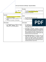 Preparación para Evaluación de Biología - Segundos Medios