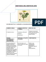 Ficha Etnobotánica Del Diente de Leon