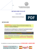 01 - Metabolismo Intermediario 2020 (Introducción General)