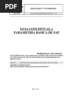 Guia Conceptual y Parametrizacion Basica de Sap