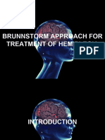 Brunnstorm Approach