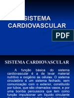 Sistema Circulatório