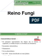 Reino Fungi