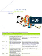 CIS Key Audit Risk Factors 2009 v1