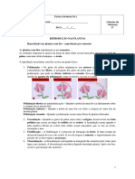 Ficha Informativa - Plantas