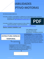 Trabajo Habilidades Perceptivo Motoras Jon Larrinaga