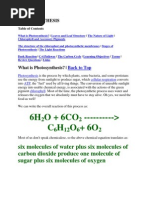 Photosynthesis