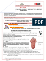 Ficha-16-Ct-4to Año