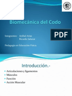 Presentacion Del Codo