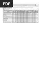 Formatoprogramaanualdeauditoriaociv 2