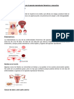 Enfermedades en El Aparato Reproductor Femenino y Masculino