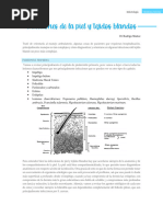 Infecciones de Piel y Tejidos Blandos Editado