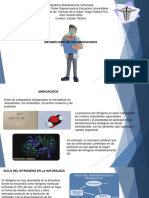 Metabolismo de Los Aminoacidos