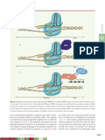 Medsci20153111p1014 6