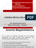 2anemia Megaloblastica