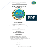 INFORME IV - Observacion de Bacterias Lácticas Presentes en El Yogurt