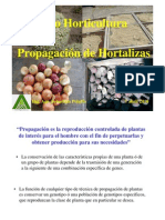 Propagación de Hortalizas