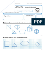 Evaluation Symetrie CM1 Et CM2