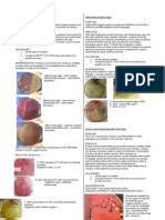 Microbio Lab 7 (Leigh)