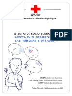 Ensayo Salud Economia