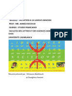 Résuméde La Famille Afro-Asiatique. L'amazigh Au Contact Des Langues Nilo-Sahariennes