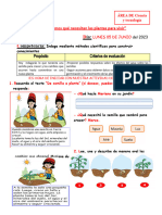 5-6 - FICHA CIENCIA Y TECNOLOGÍA "Indagamos Qué Necesitan Las Plantas para Vivir"