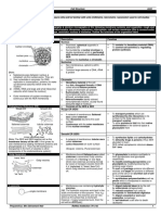 5) Cell Structure Summary - 9744 - 2022