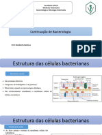 Aula 3 - Bacteriologia e Micologia