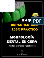 Curso Morfologia Dental Quito Octubre 2023