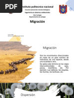 Migración 1-1