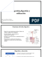 Clase 4 - Ingesta, Digestión, Absorción y Metabolismo de Nutrientes