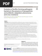 Evolution of Biofilm-Forming Pathogenic Bacteria in The Presence of Nanoparticles and Antibiotic: Adaptation Phenomena and Cross-Resistance