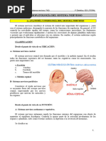 Tema9-Sistema Nervioso