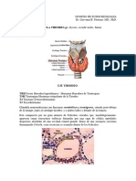 ENDOCRINOLOGÍA 2da CLASE