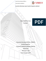 Primer Informe Practicas Laboral