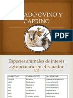 Alimentacion y Nutricion de Ovinos y Caprinos